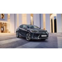 Lexus UX 300e